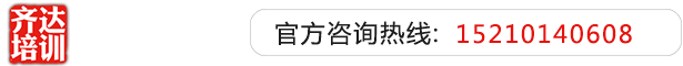 污污污啪啪啪啊啊啊啊啊啊齐达艺考文化课-艺术生文化课,艺术类文化课,艺考生文化课logo